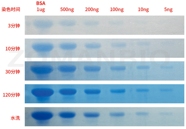 2019.12.23 ZD305A YY.JPG