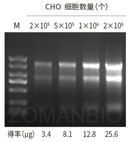 23 ZP433圖4.jpg 圖片