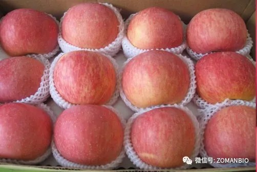 時令水果