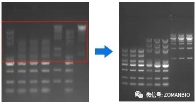 22.6 大marker分不開問(wèn)題圖.jpg 圖片